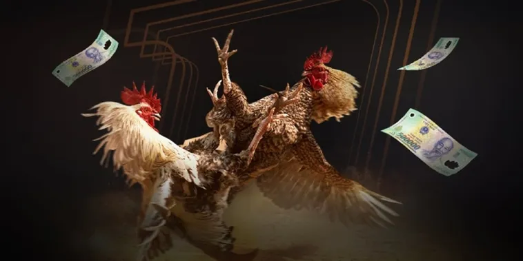 Đá Gà 79Win: Sức Hút Văn Hóa Của Một Truyền Thống 6 Đá Gà 79Win: Sức Hút Văn Hóa Của Một Truyền Thống